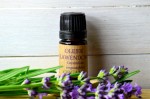 OLEJEK LAWENDOWY - ORGANIC - 5ml