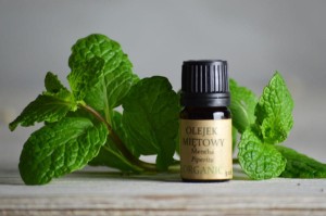 OLEJEK MIĘTOWY - 5ml  