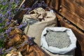 Susz lawendowy 1 kg z własnej plantacji – Manufaktura Lawendy
